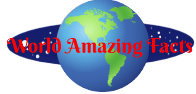 World Amazing Facts