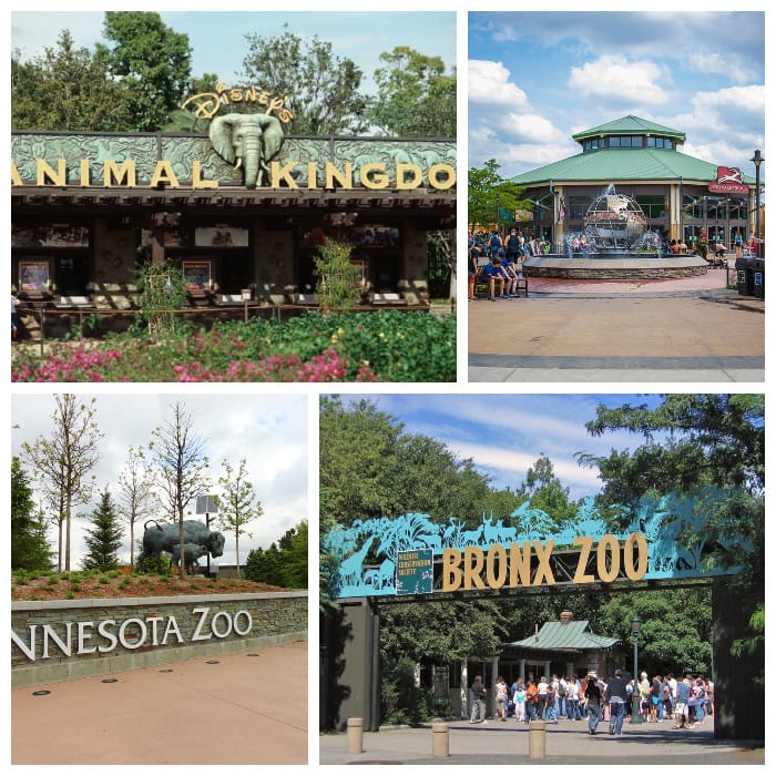 8 Biggest Zoos in the United States