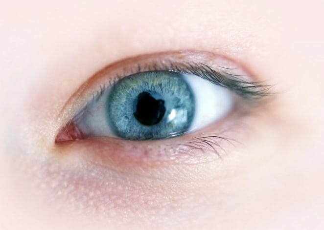 Cornea – The no blood supply organ in the human anatomy.