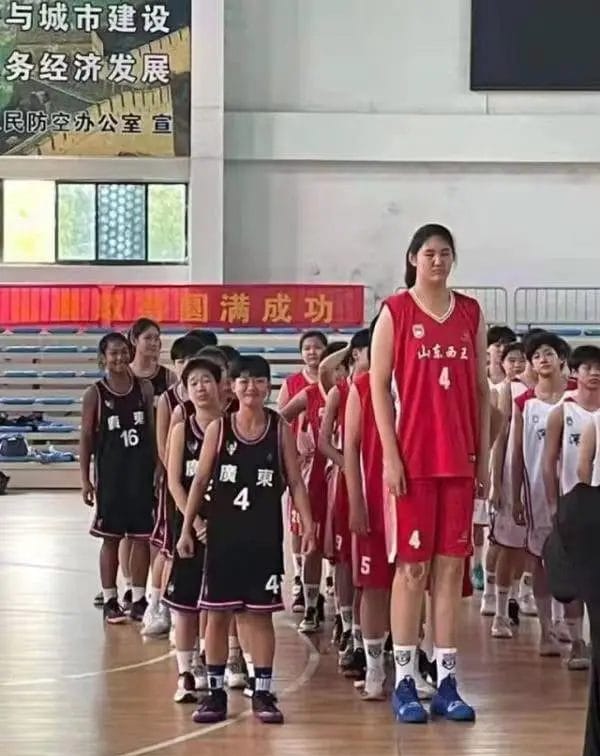 Zhang Ziyu (Height: 226cm)