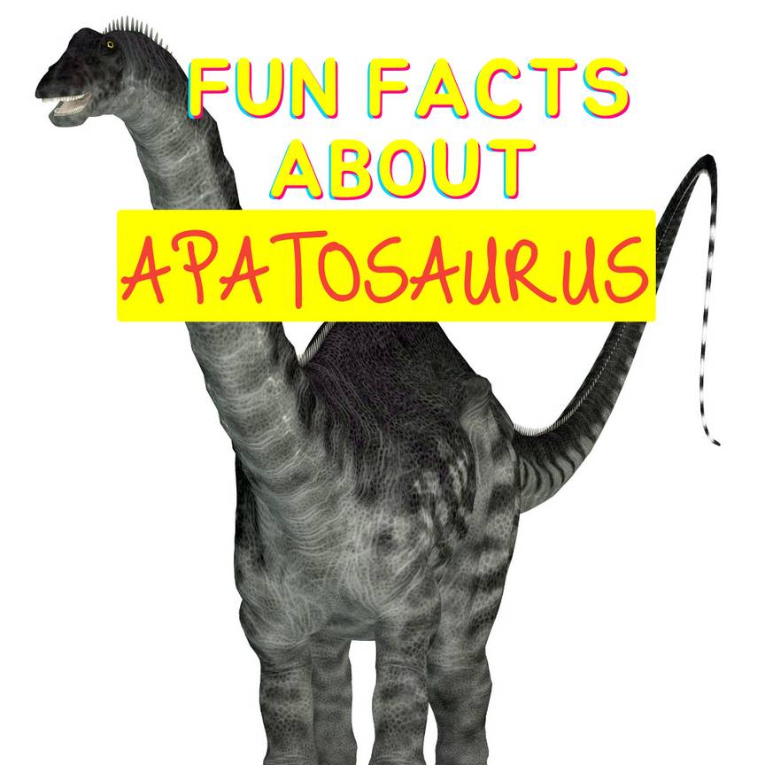 Fun Facts About Apatosaurus - Dinosaur Facts