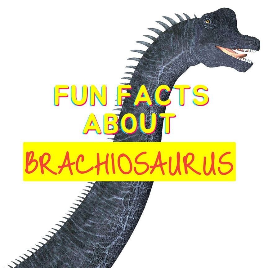 Fun Facts about Brachiosaurus - Dinosaur Facts