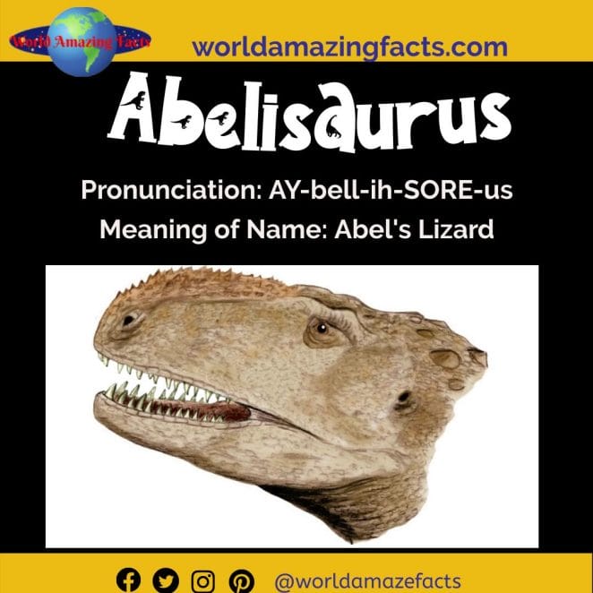 Abelisaurus dinosaur