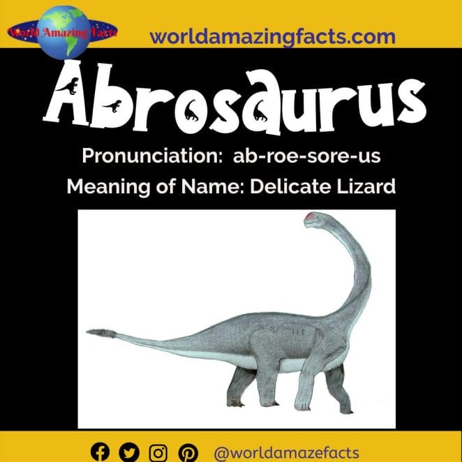 Abrosaurus dinosaur