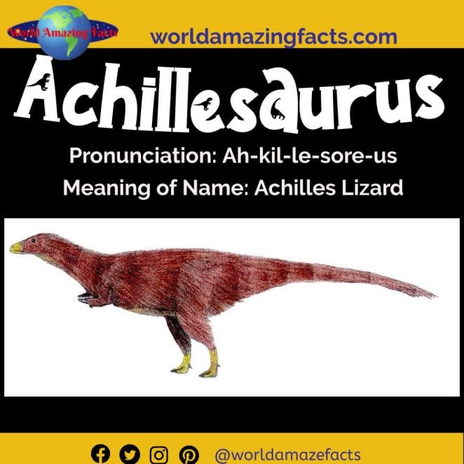 Achillesaurus dinosaur