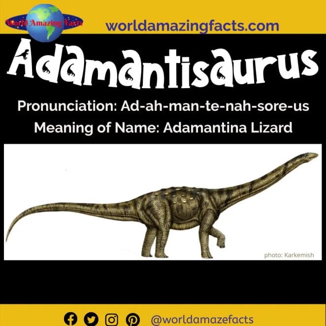 Adamantisaurus dinosaur 