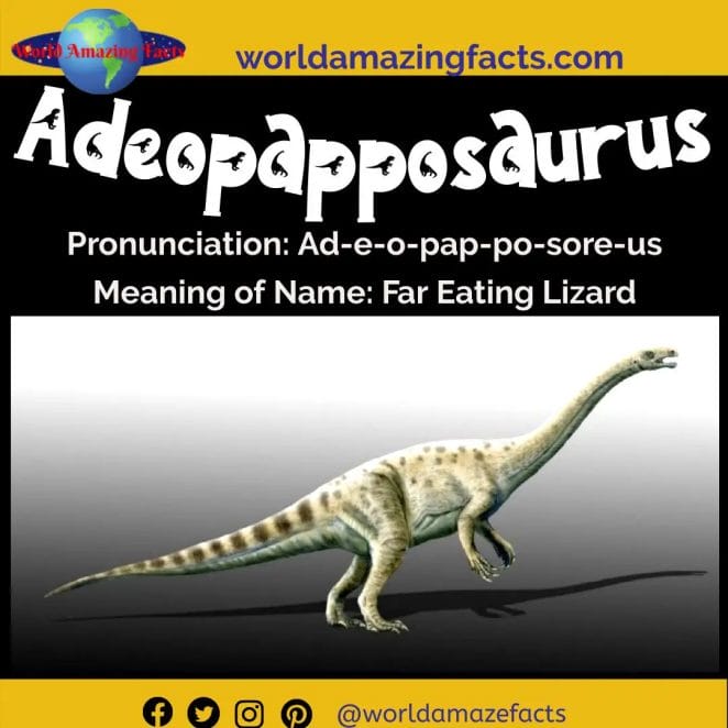 Adeopapposaurus dinosaur