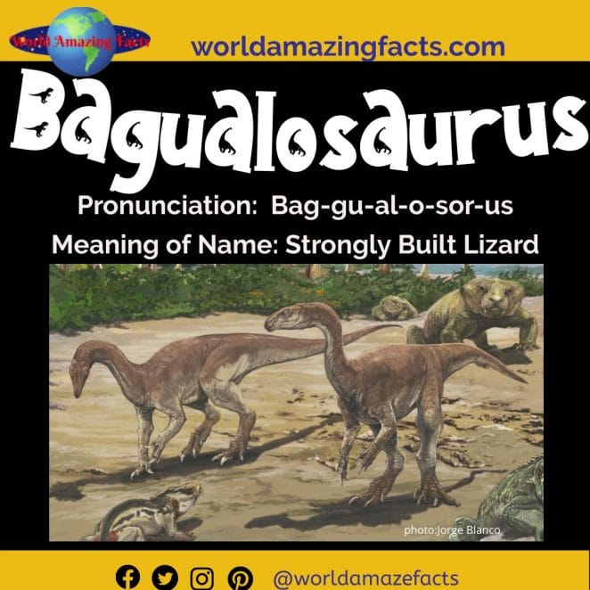Bagualosaurus dinosaur