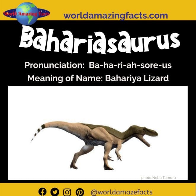 Bahariasaurus dinosaur