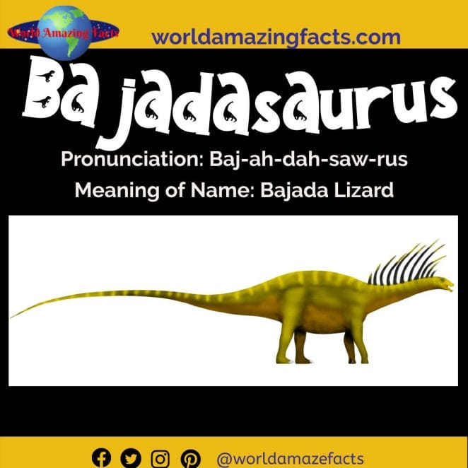 Bajadasaurus dinosaur