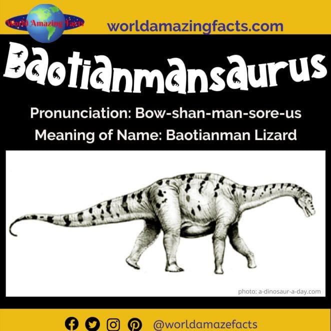Baotianmansaurus dinosaur