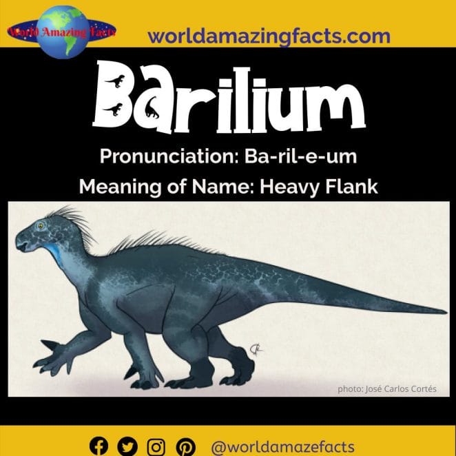 Barilium dinosaur
