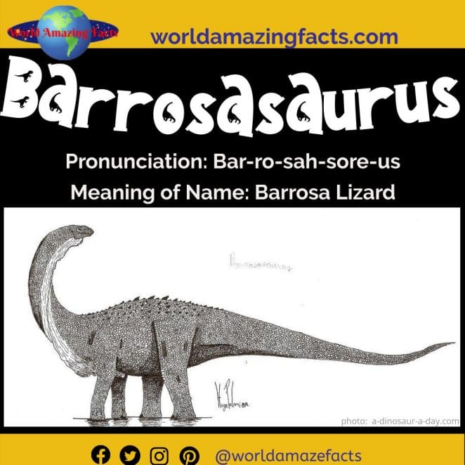 Barrosasaurus dinosaur