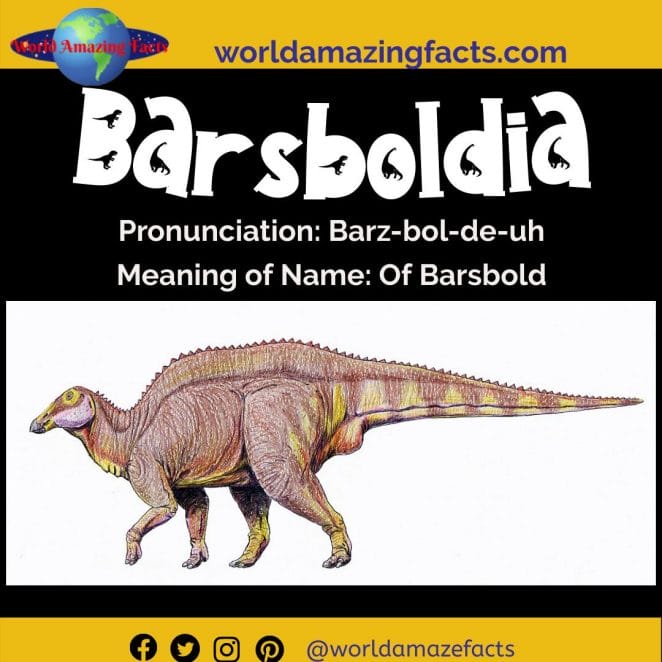 Barsboldia dinosaur