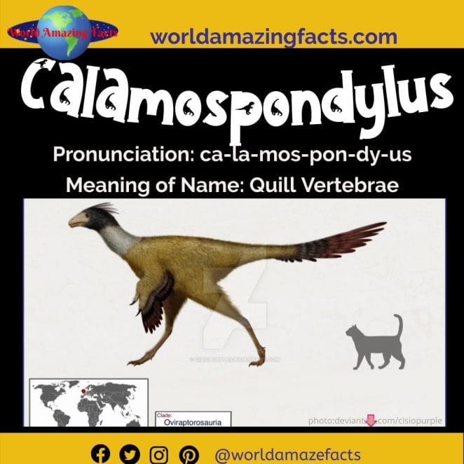 Calamospondylus dinosaur