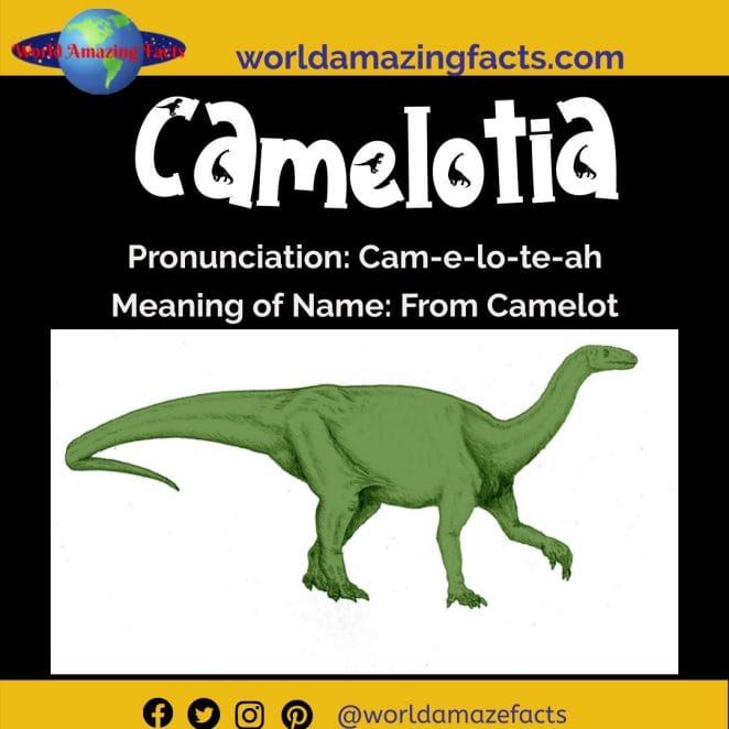 Camelotia dinosaur
