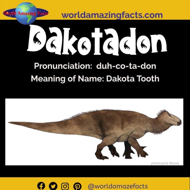 Dakotadon dinosaur
