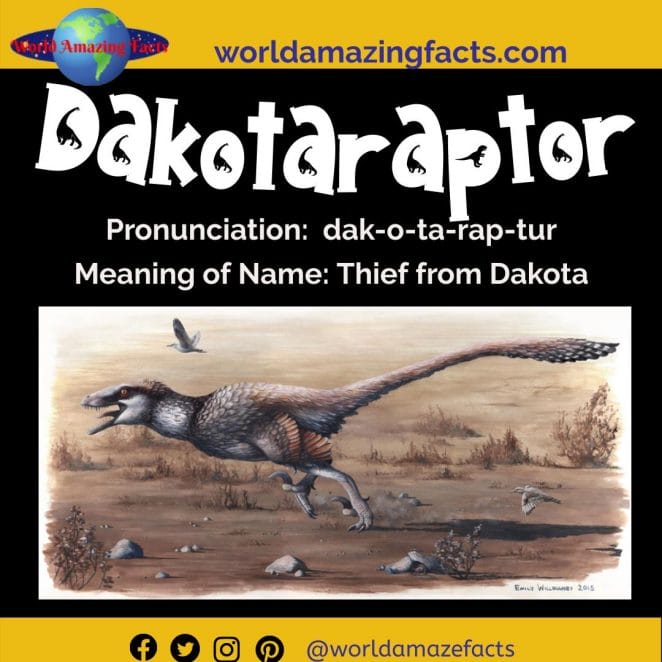 Dakotaraptor dinosaur