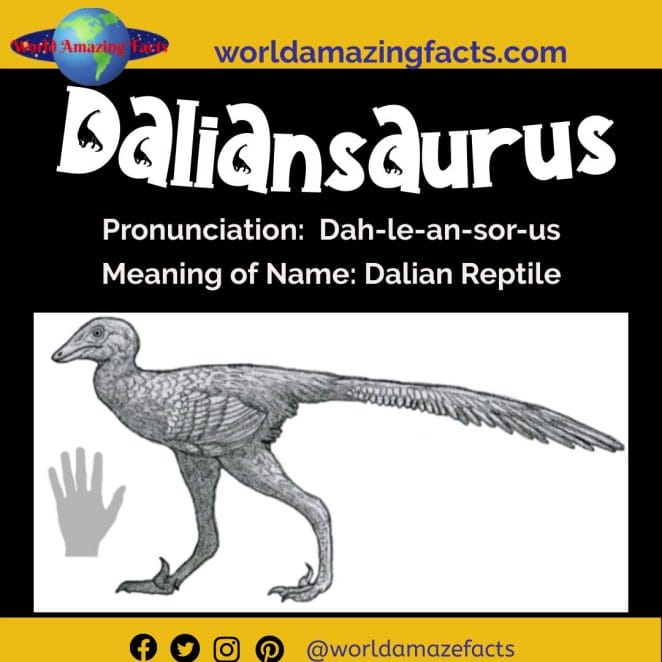 Daliansaurus dinosaur