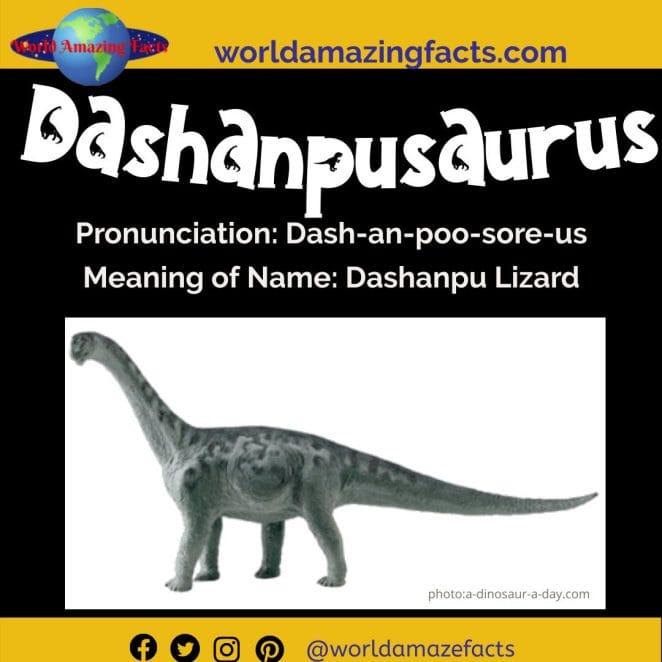 Dashanpusaurus dinosaur