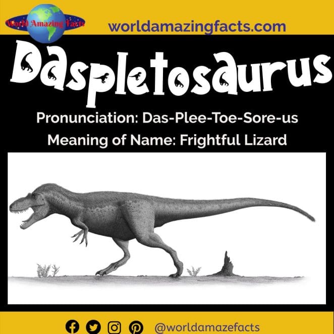 Daspletosaurus dinosaur