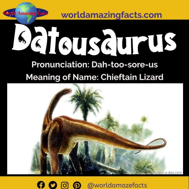 Datousaurus dinosaur
