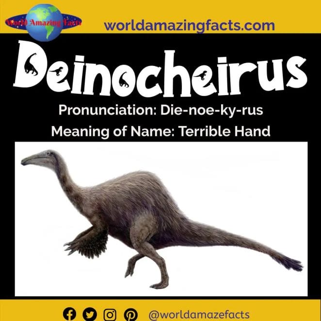 Deinocheirus dinosaur