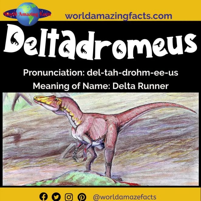 Deltadromeus dinosaur