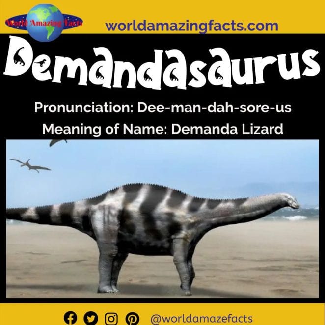Demandasaurus dinosaur