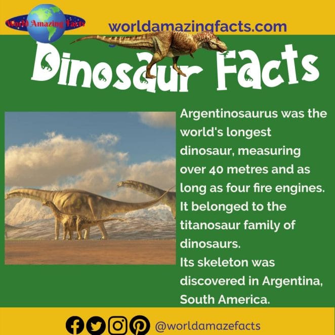 Argentinosaurus dinosaurs