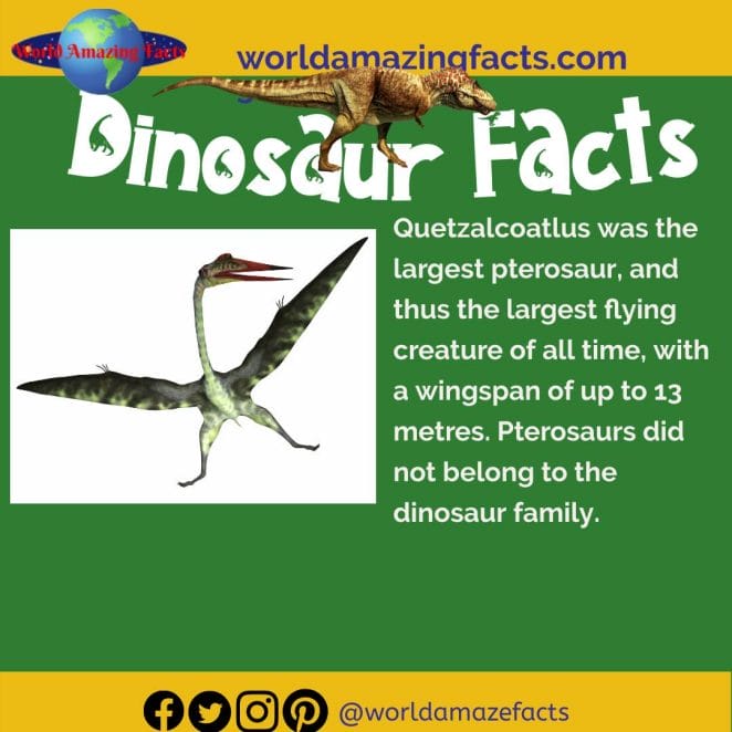 Quetzalcoatlus pterosaur