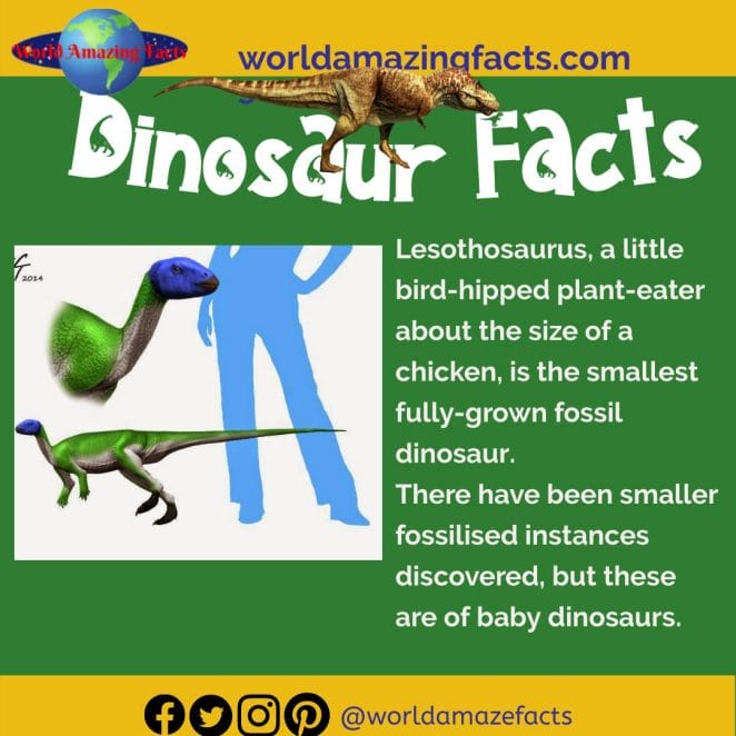Lesothosaurus dinosaur