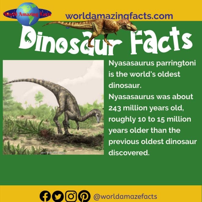 Nyasasaurus dinosaur