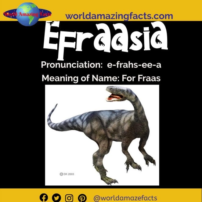 Efraasia dinosaur