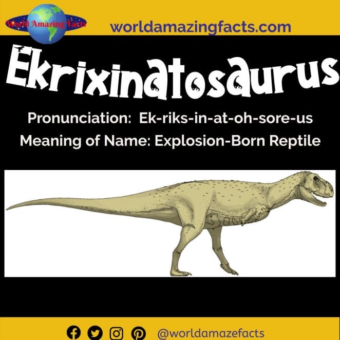 Ekrixinatosaurus dinosaur
