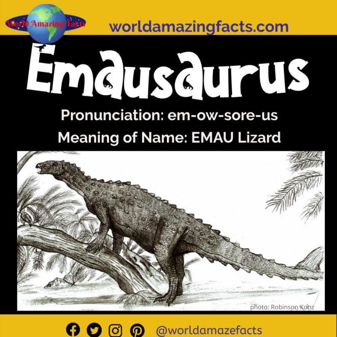 Emausaurus dinosaur