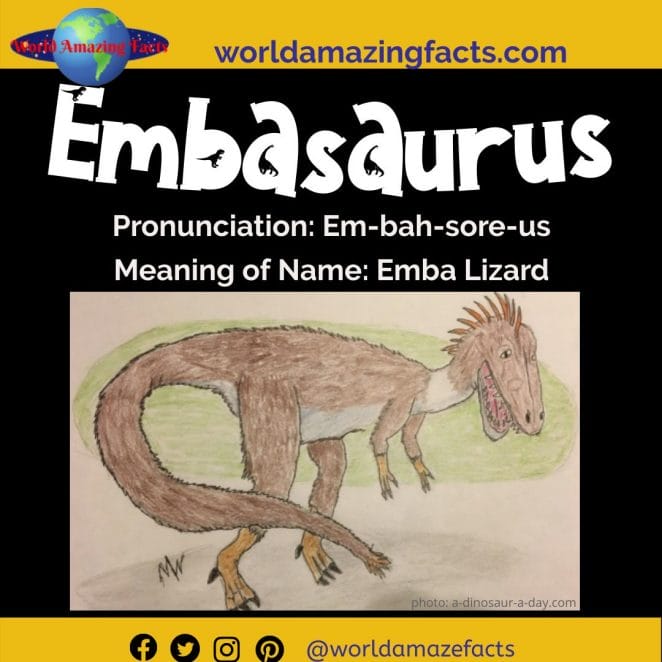 Embasaurus dinosaur