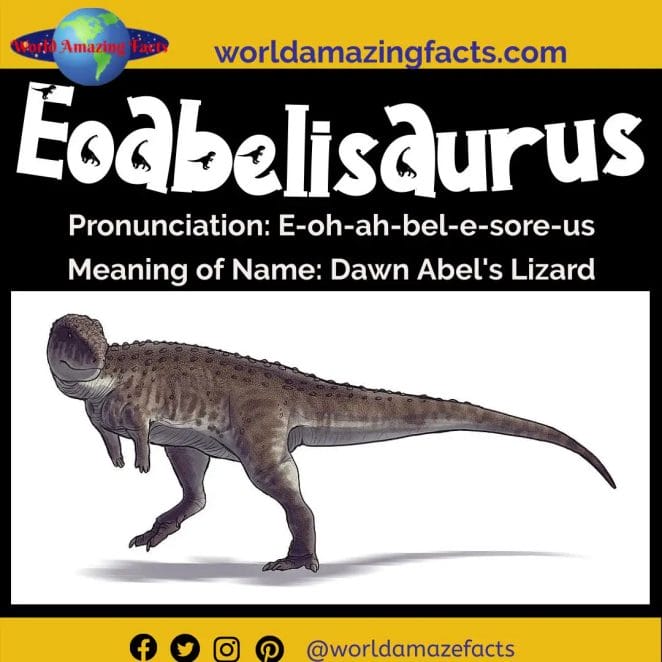 Eoabelisaurus dinosaur