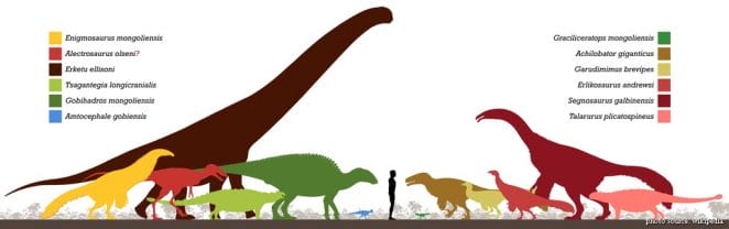 Fun Facts about Erlikosaurus - Dinosaur Facts