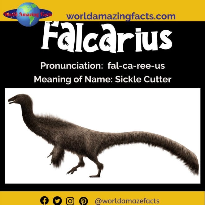 Falcarius dinosaur