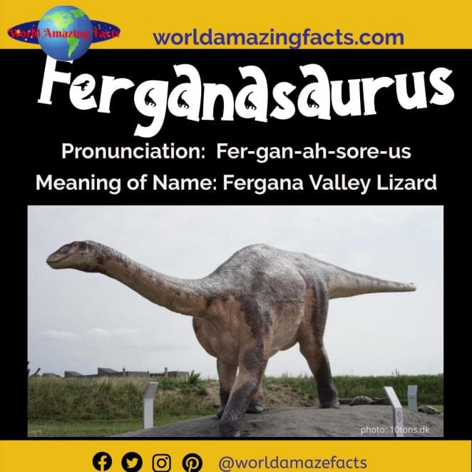 Ferganasaurus dinosaur