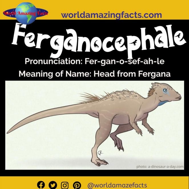 Ferganocephale dinosaur