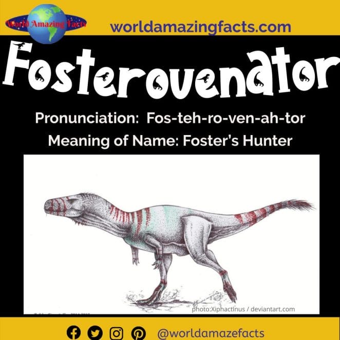 Fosterovenator dinosaur