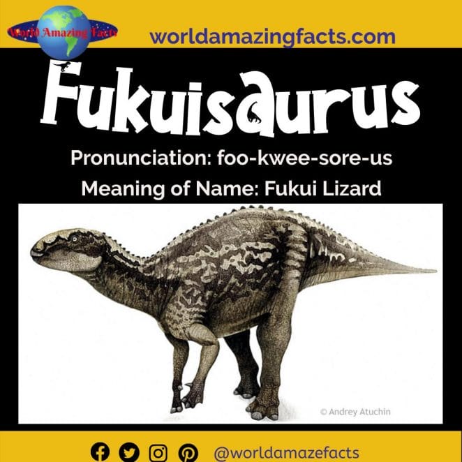 Fukuisaurus dinosaur
