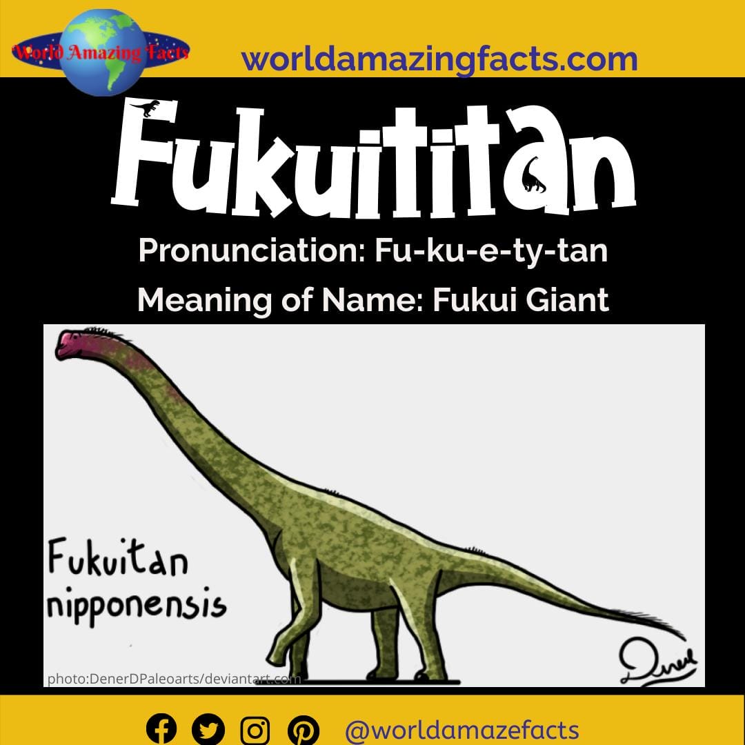 Dinosaur Names that Start with "F" - Dinosaur Pictures & Facts