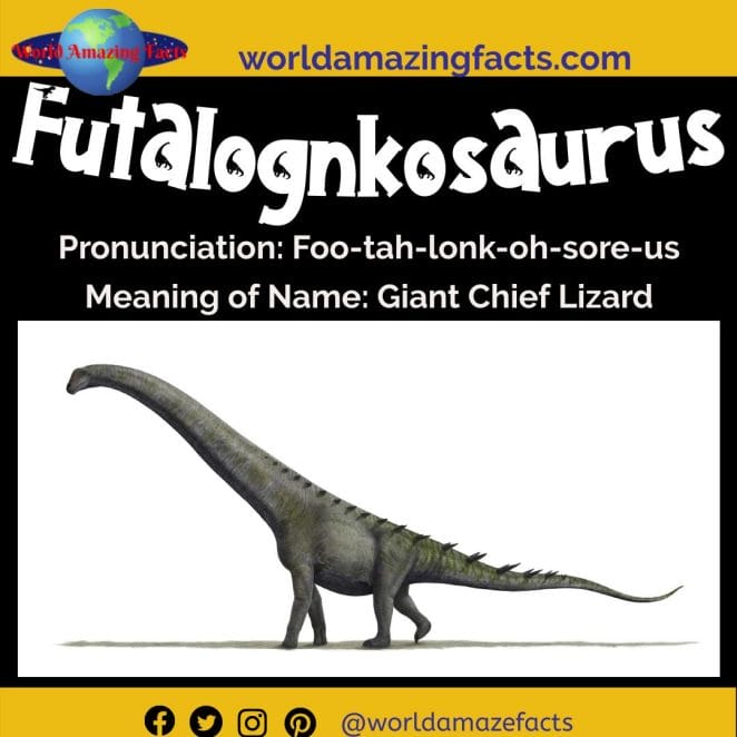 Futalognkosaurus dinosaur