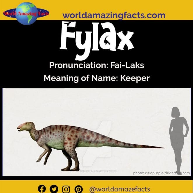 Fylax dinosaur