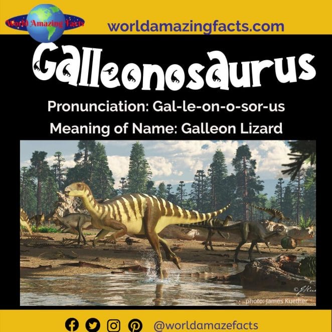 Galleonosaurus dinosaur