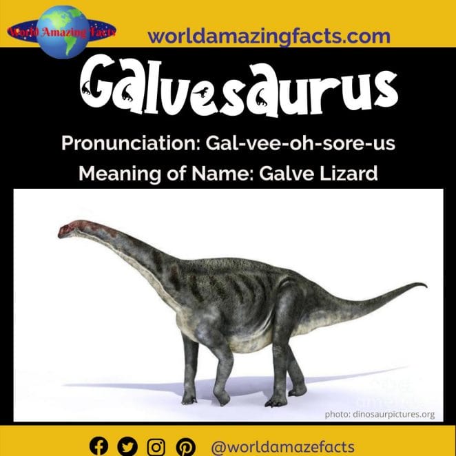 Galvesaurus dinosaur