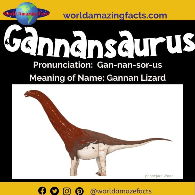 Gannansaurus dinosaur